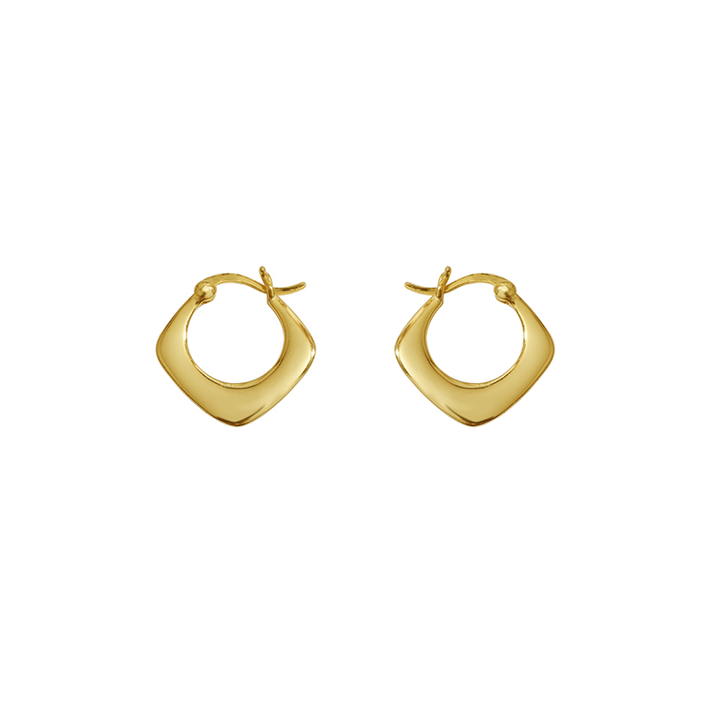 Fashion Geometry Square 925 Sterling Silver Earrings