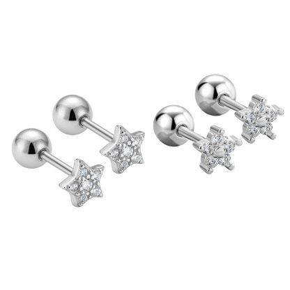 Friend's CZ Star Flower 925 Sterling Silver Stud Earrings