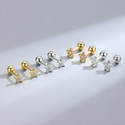 Friend's CZ Star Flower 925 Sterling Silver Stud Earrings