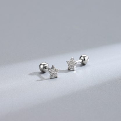 Friend's CZ Star Flower 925 Sterling Silver Stud Earrings
