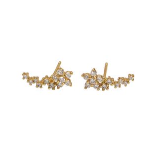 Girl Beautiful CZ Mini Flowers 925 Sterling Silver Stud Earrings